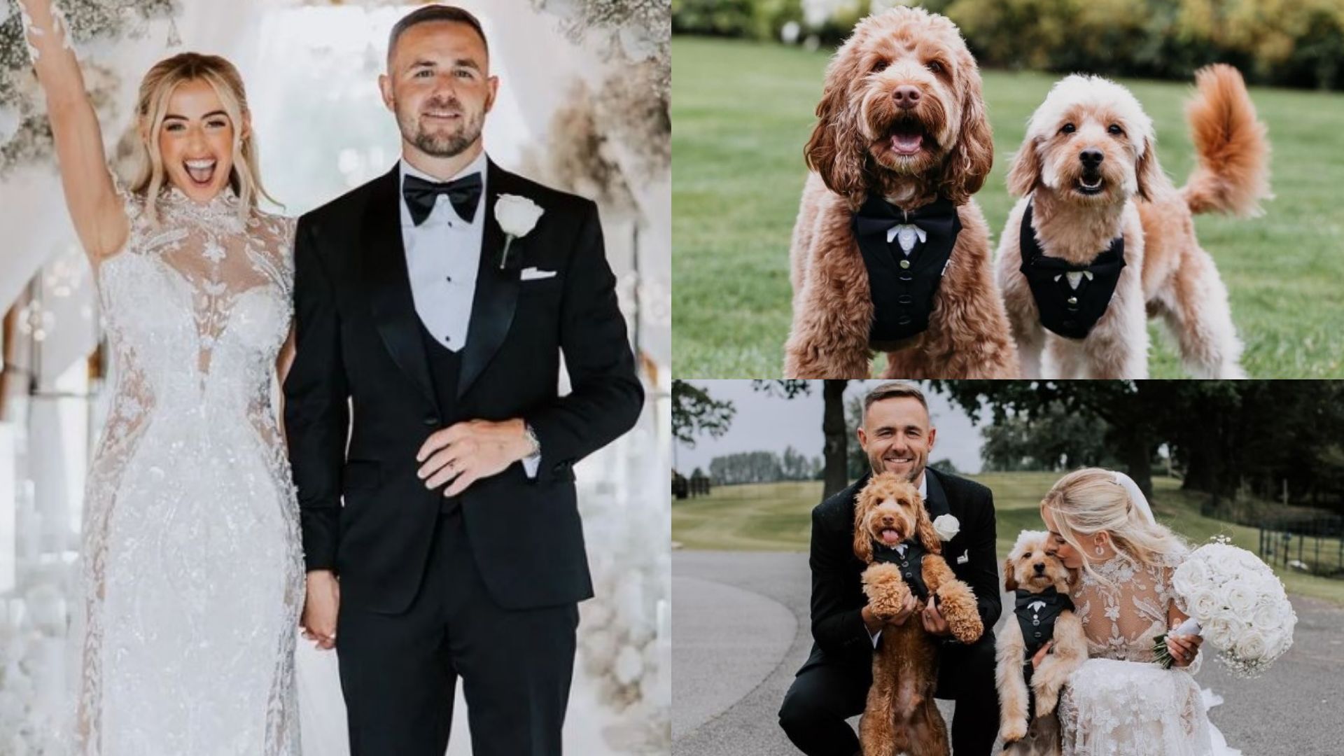 chloe-kelly-shares-adorable-photos-of-her-dogs-otis-and-rolo-suited-up
